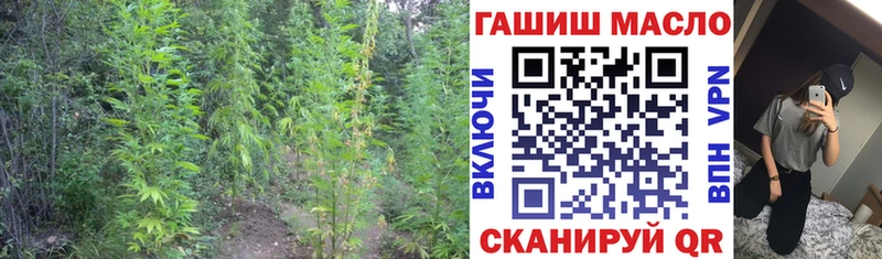 ТГК жижа  продажа наркотиков  Власиха 