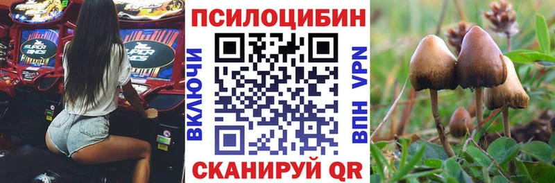 Галлюциногенные грибы Psilocybine cubensis наркотики Власиха